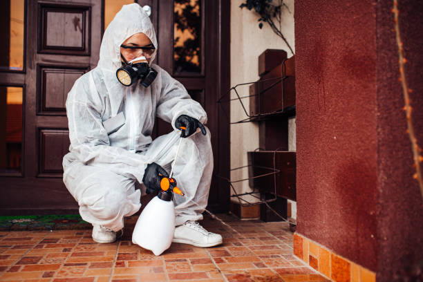 Reliable Cockroach Control contractor in Auburndale, FL by Nex Pest Control
